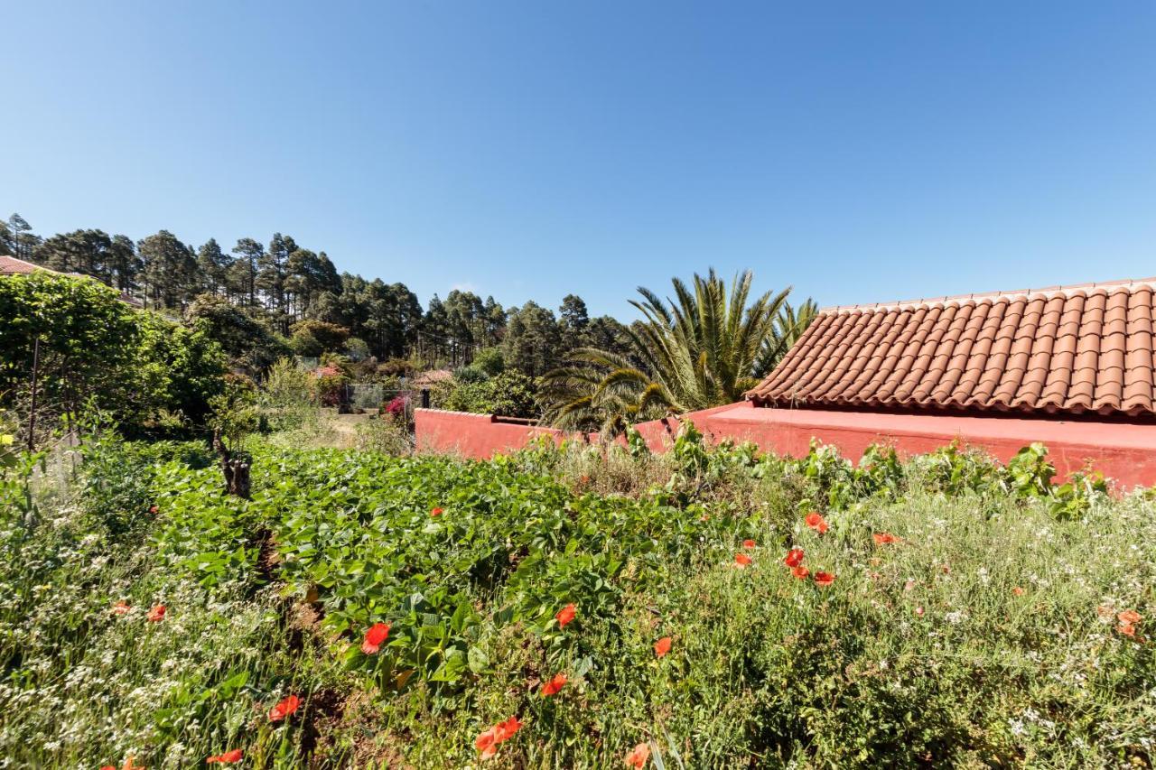Casa Buganvillas, Reformado Puntagorda  Exterior photo